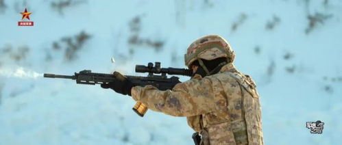 《暗区突围》射手步枪盘点：精准射击，一枪爆头！
《暗区突围》栓动步枪攻略：后坐力控制，射击技巧解析！
《暗区突围》最强射手步枪推荐：威力与精准兼备！
《暗区突围》栓动步枪性能对比：哪款是你的最佳选择？