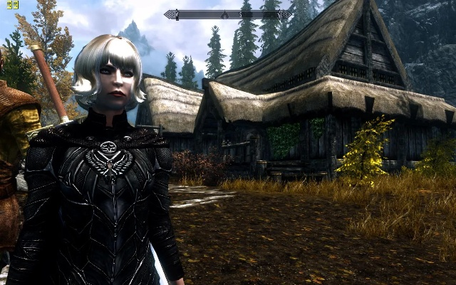 上古卷轴4重制版画面调优秘籍：帧率翻倍技巧解析