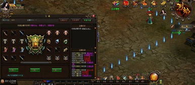 《苏丹游戏》娜依拉攻略：深度解析，解锁全新游戏体验