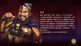 《三国志英雄志》无尽翻江流攻略：深度解析BD策略新视角