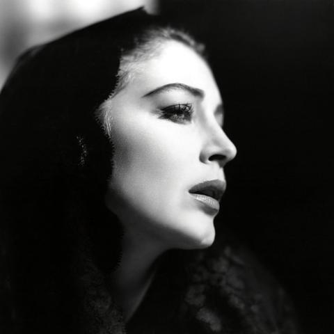 《好莱坞动物》全攻略：隐藏技巧解锁秘籍！