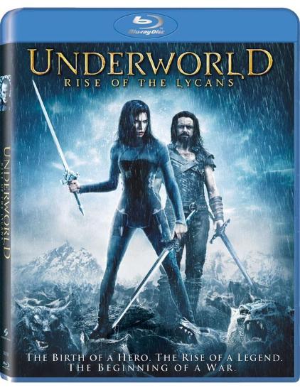 C罗独家揭秘：群狼之城饿狼传说背后的传奇故事