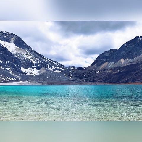 翡翠梦境首周环境解析，新版本强卡组攻略分享揭秘