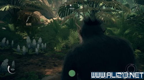 《祖先续篇：揭秘人类史诗新篇章》