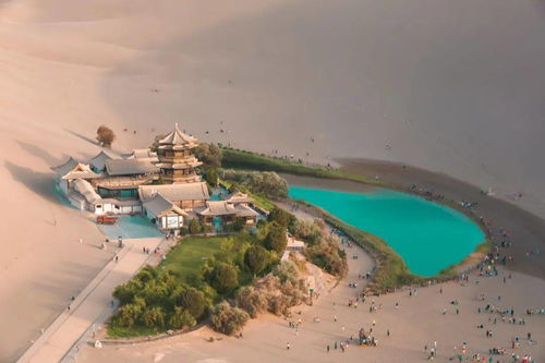 荣花竞捷龙龙寻宝，满奖励路线攻略秘籍大公开