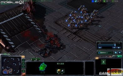 《第一狂战士卡赞》风灵月影修改器深度解析，下载分享新攻略！