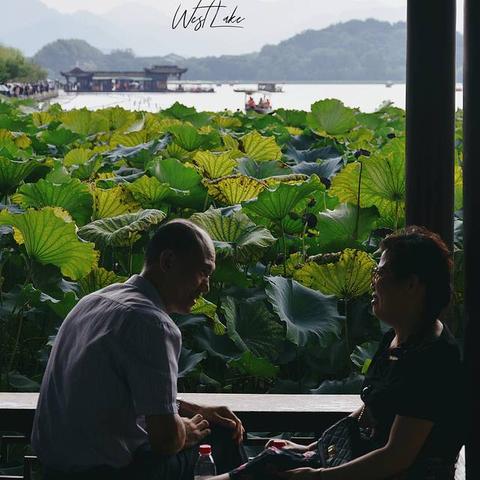 《梦之形》攻略必备：深度解析购买指南与配置秘籍