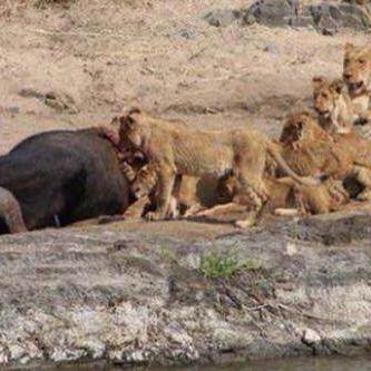 淤泥术卡组攻略：深度解析全新构筑技巧