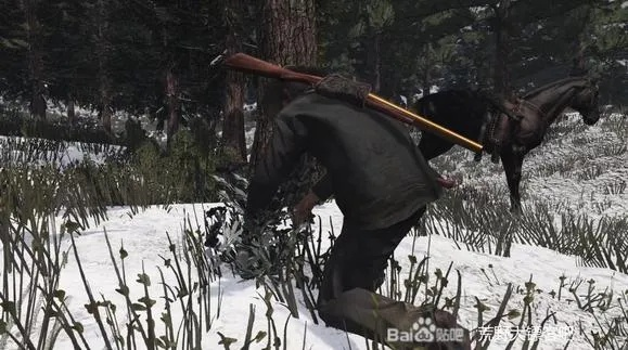 双刀技巧深度解析：荒野猎人高效攻略新解法