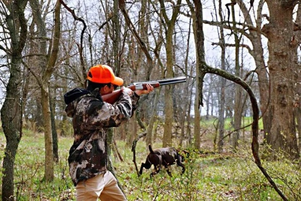 狩猎笛技巧全解析：荒野猎人必备高效狩猎法