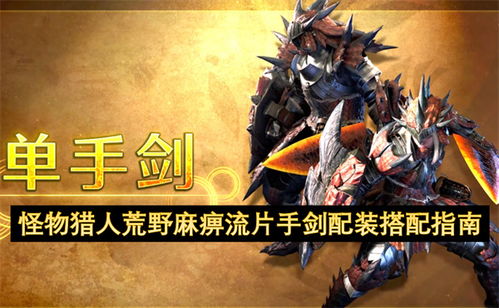 《荒野猎怪》片手剑麻痹流秘籍：高效输出攻略解析