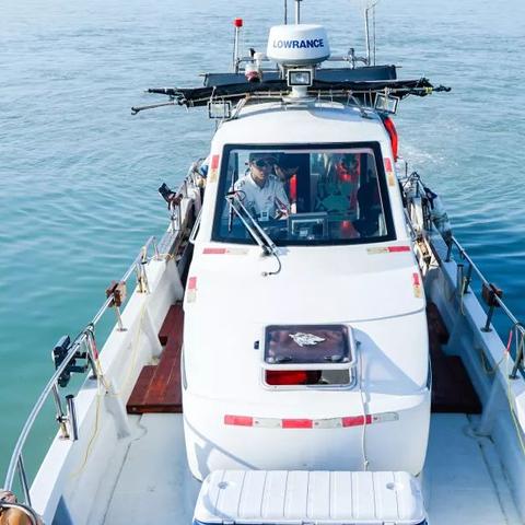 《荒野猎人钓大鱼秘籍：五大鱼类稳定垂钓技巧解析》