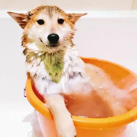 《大富翁10》Steam首发倒计时！10月5日开启财富之旅