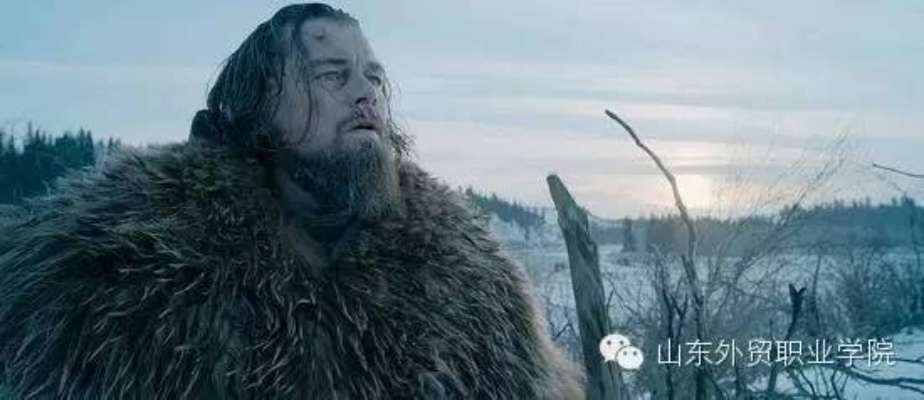 荒野猎人毕业强装攻略，揭秘全新实战秘籍