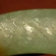 荒野奇遇！揭秘闪光翅虫捕捉攻略与神秘位置