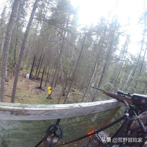 荒野狩猎秘籍：环境生物捕捉攻略全解析