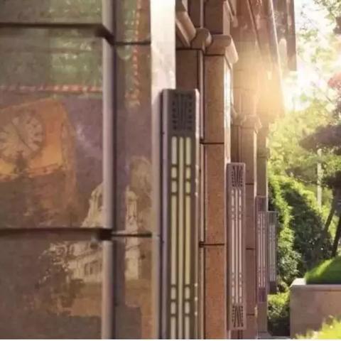 金石速刷攻略：荒野猎人高效采集新技巧