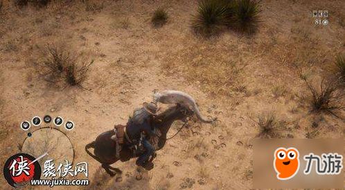 荒野狩猎攻略：大虚无动捕捉技巧解析