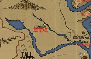 稚影蜘蛛藏身荒野，探秘地图与珍稀素材解析