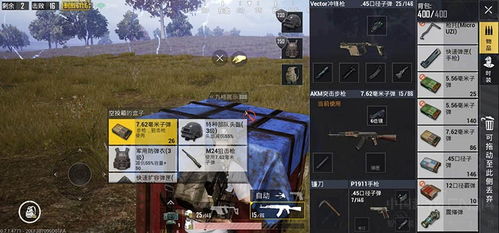 《荒野轻弩炮辟兽新样式路线深度解析》