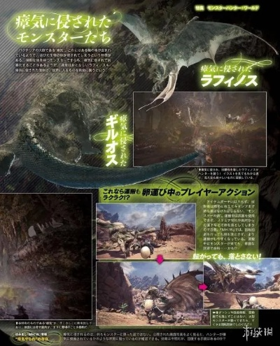 荒野怪物猎人：护凶爪龙衍生样式攻略与神秘路线解析