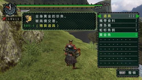 《怪物猎人荒野》龙都遗迹钓点攻略：钓鱼种类全解析，钓技提升秘籍！