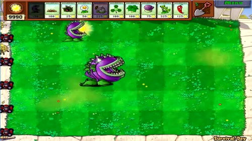 植物守护者野餐大作战3