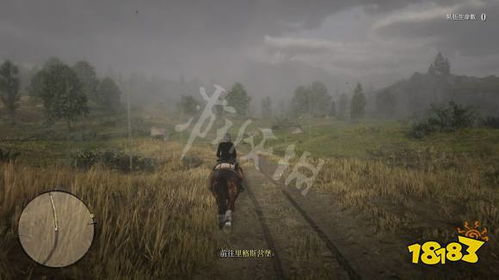 荒野猎人捕怪攻略：高效捕获技巧解析