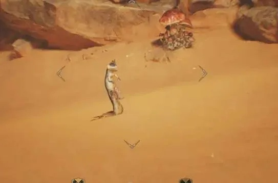 端丽翼鸟藏身之谜，达里尔研究报告攻略解析