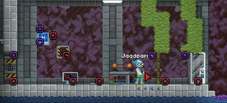 《星界边境》大变！揭秘即将到来的全新生存挑战