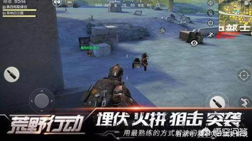 《荒野守卫使命攻略：揭秘次要任务新策略》