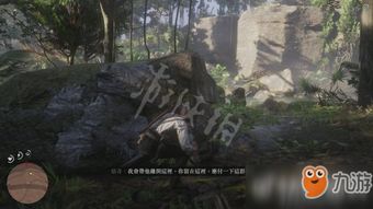 沙海龙攻略：荒野狩猎技巧与珍贵掉落解析