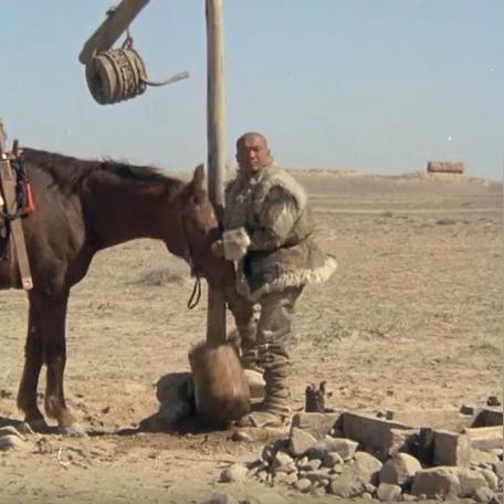 探索人性深处，揭秘《致全人类》创作灵感与价值新维度