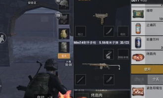 《战极死游》第一章鲨鱼速胜攻略：轻松击破鲨鱼新技巧