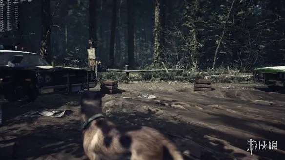 《布莱尔女巫》Steam显卡推荐：GTX 1070畅玩必备新体验