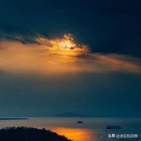 荒野猎手秘技解密：弓箭绝学新篇章