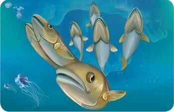 《鸣潮》捕鱼攻略：揭秘老人鱼海鱼王龙鲡解锁秘籍