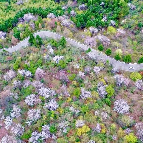 《樱花大战》机甲盛宴：全新截图曝光，揭秘未来战场新势力