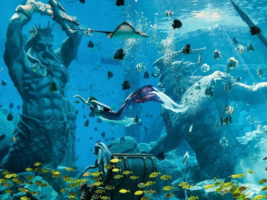 探寻亚特兰蒂斯奥秘，开启命运新篇章