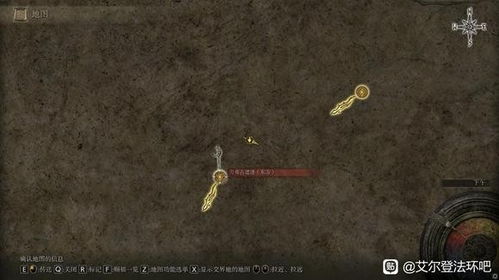 艾尔登法环圣域战灰攻略：高效获取新技巧揭秘