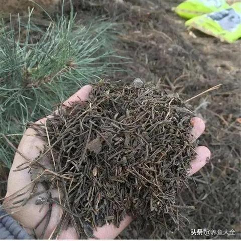 《废土3》规模震撼升级，超预期巨制惊艳亮相