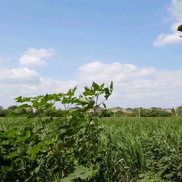 《归于沉寂》光影盛宴，极致高清惊艳呈现，沉浸式体验震撼来袭