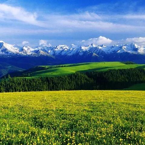 田园牧歌新体验，哆啦A梦《牧场物语》悠然启航