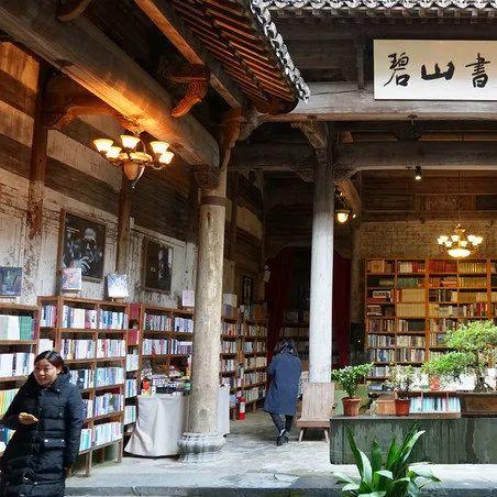 《青天井》攻略揭秘：深度体验全新游戏玩法技巧