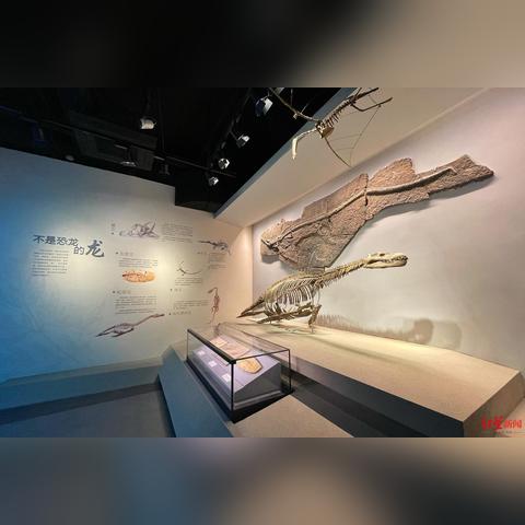 《真三国无双起源》矛连招教学：轻松掌握高效战斗技巧