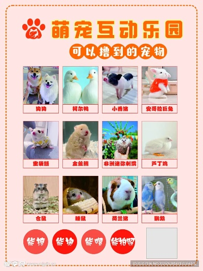 《萌宠乐园：猫狗新欢4月惊喜上市》