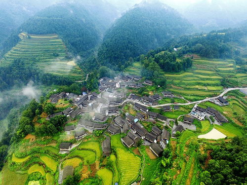 《燕云十六声》清河曲径寻幽攻略：隐藏秘境位置揭秘