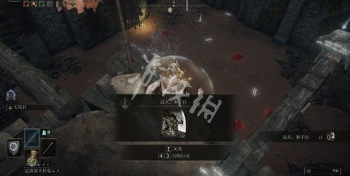 艾尔登法环罗蕾塔斩击战灰攻略：高效获取新技巧揭秘