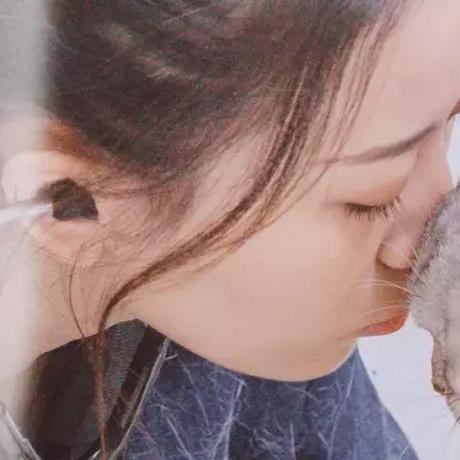 赛博朋克世界独宠猫狗，揭秘都市新生态