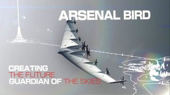 玄武巨鸟揭秘：空战巅峰新利器震撼来袭